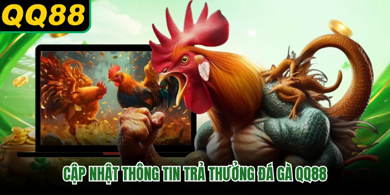 Cập nhật thông tin trả thưởng đá gà QQ88