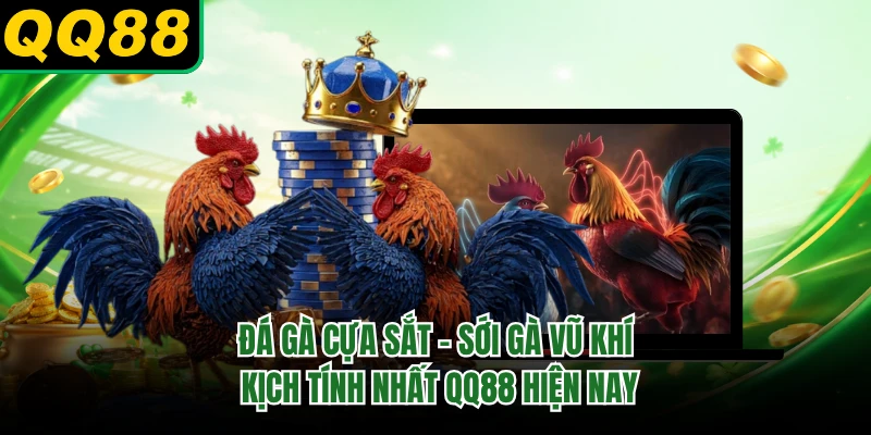 Đá Gà Cựa Sắt - Sới Gà Vũ Khí Kịch Tính Nhất QQ88 Hiện Nay
